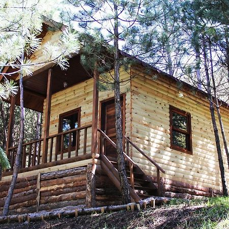 Cam Pinari Doga Evleri Villa Mengen Esterno foto