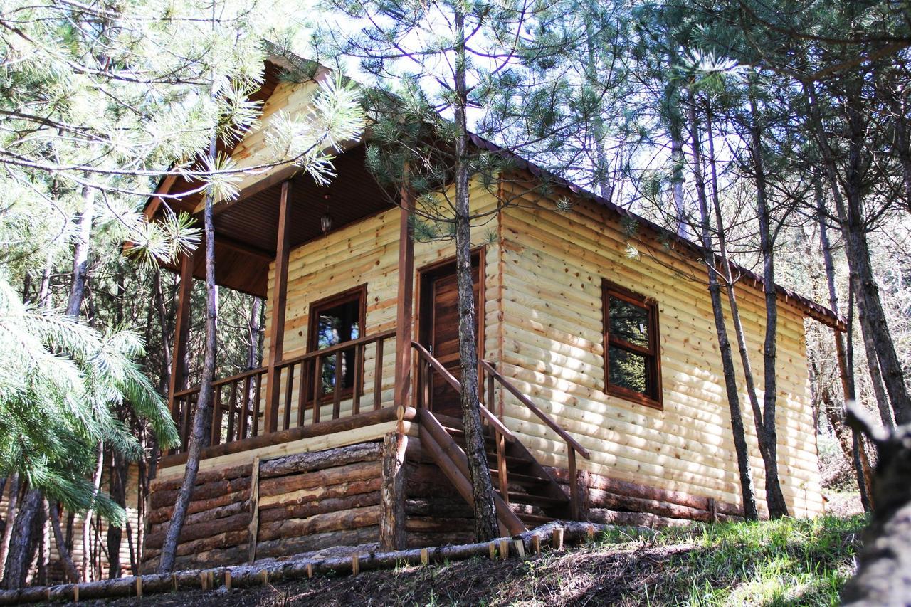 Cam Pinari Doga Evleri Villa Mengen Esterno foto