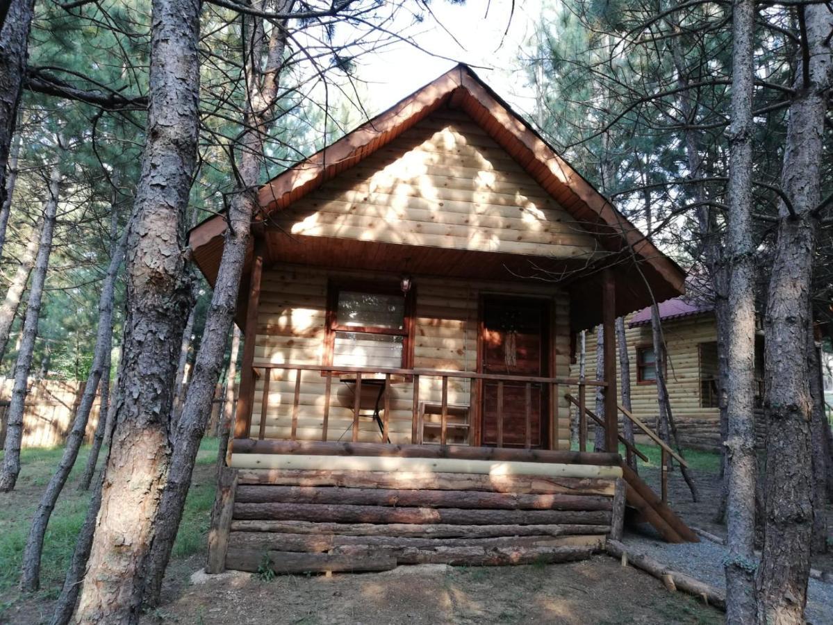 Cam Pinari Doga Evleri Villa Mengen Esterno foto